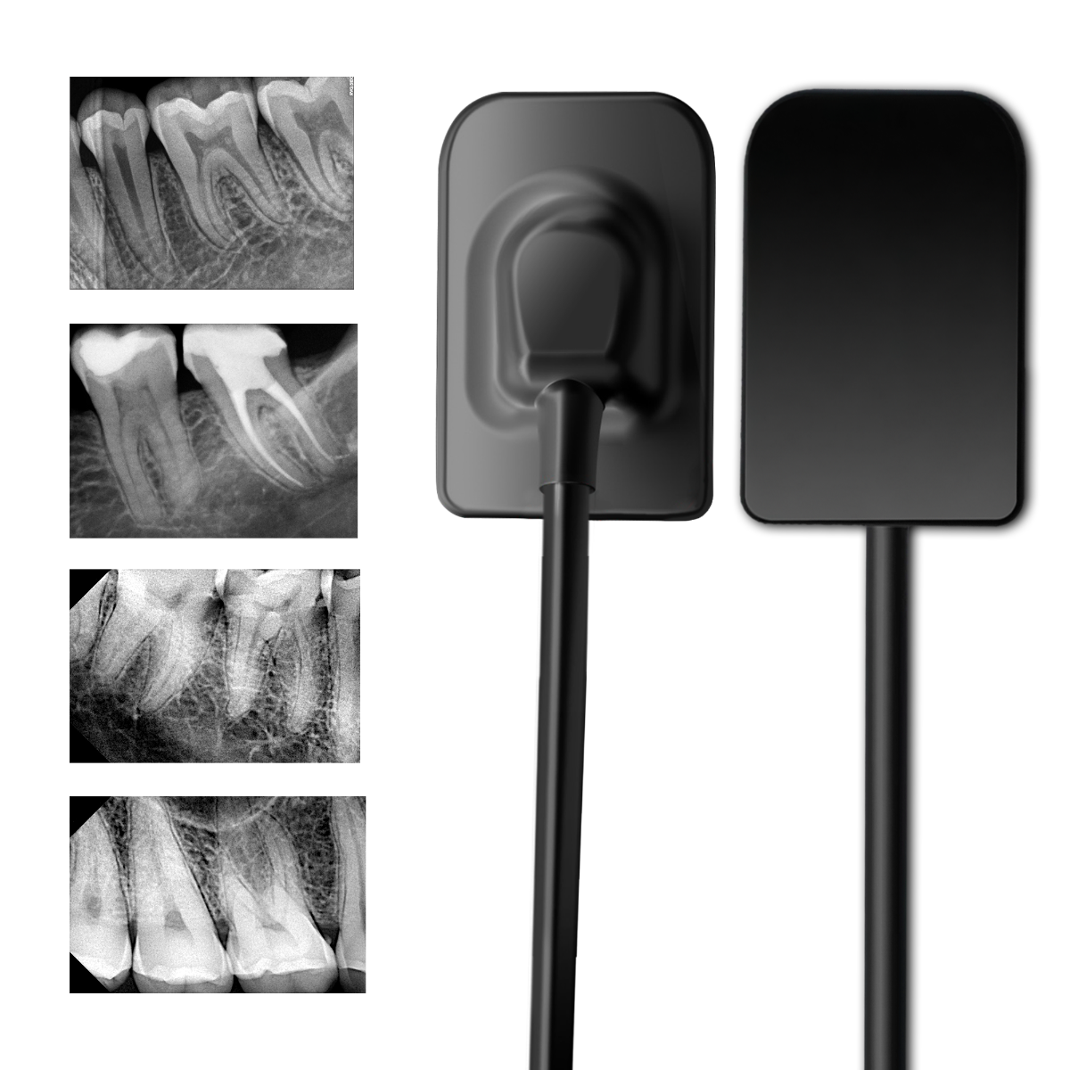 Waldent Carpo RVG V-Sensor Size - 2