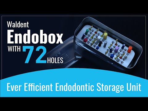 Waldent Endobox With 72 Holes (60/109) - 2